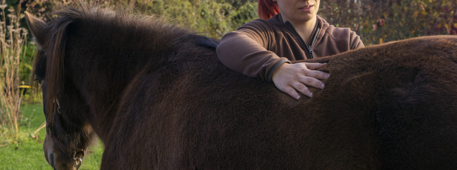 Herstellend werken met gedrag en lichaam