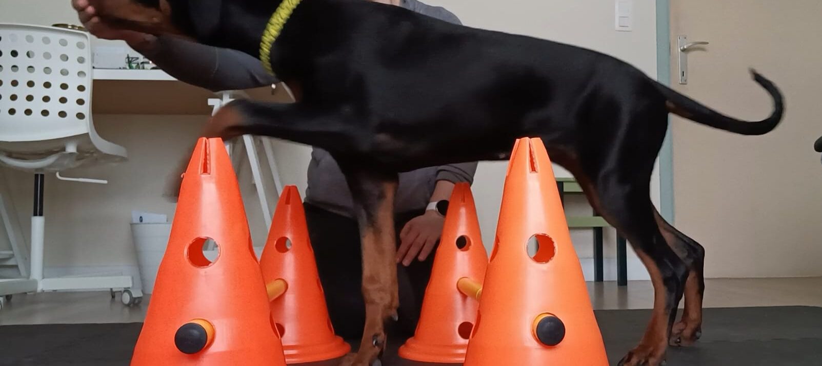 Ik ondersteun je binnen het revalidatietraject