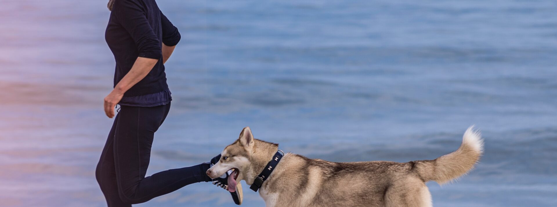 Samen naar pijnvrij bewegen!