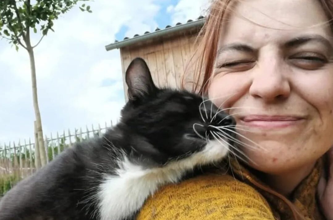 Kattengedrag in mensentaal 